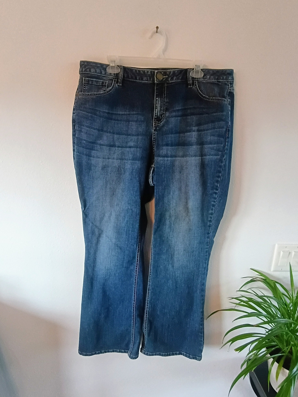 Lane Bryant Jeans 20 Regular Straight Leg Stretch Denim Medium Wash Plus Size